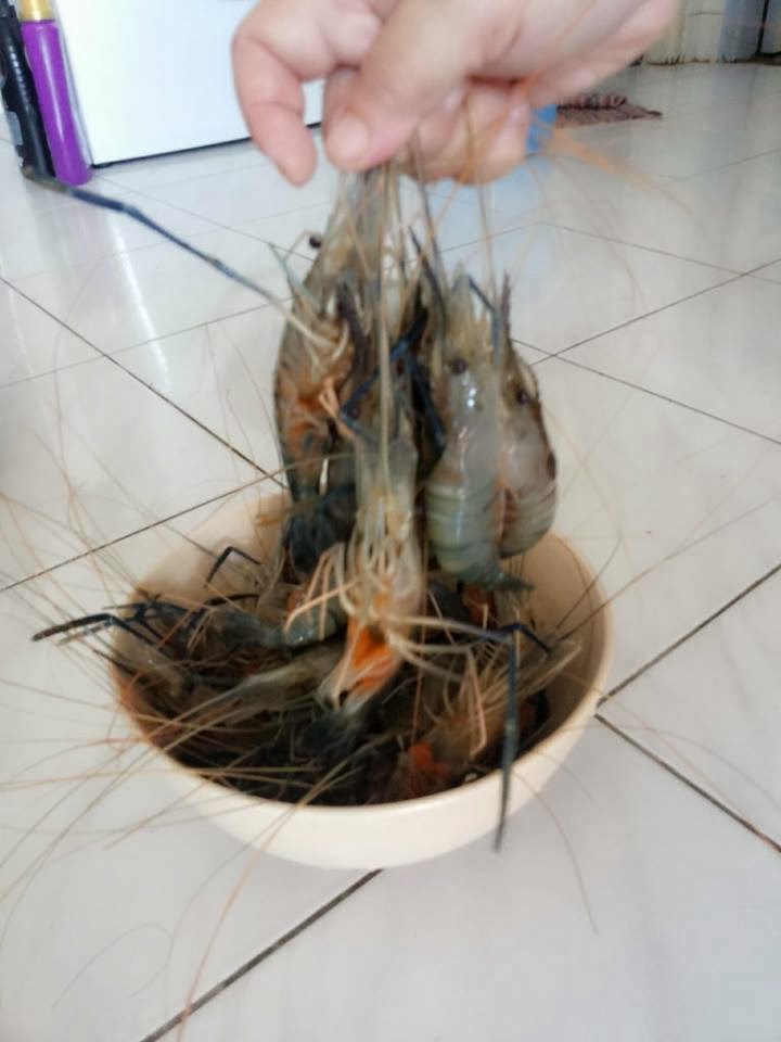 Tertunailah Hasrat Di Hati Resepi Masak Lemak Cili Api