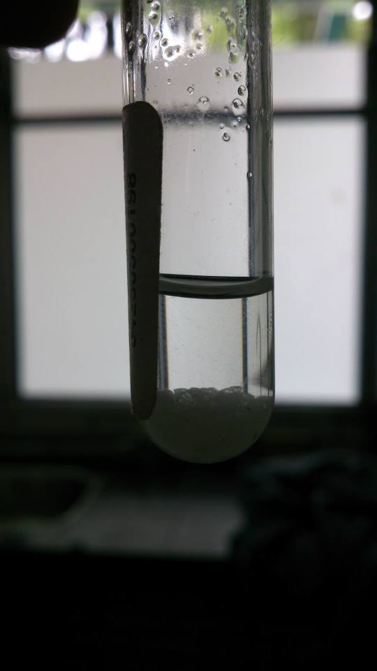 Blog de Quimica: REPORTE DE LA PRACTICA Blog de Quimica: REPORTE DE LA PRACTICA