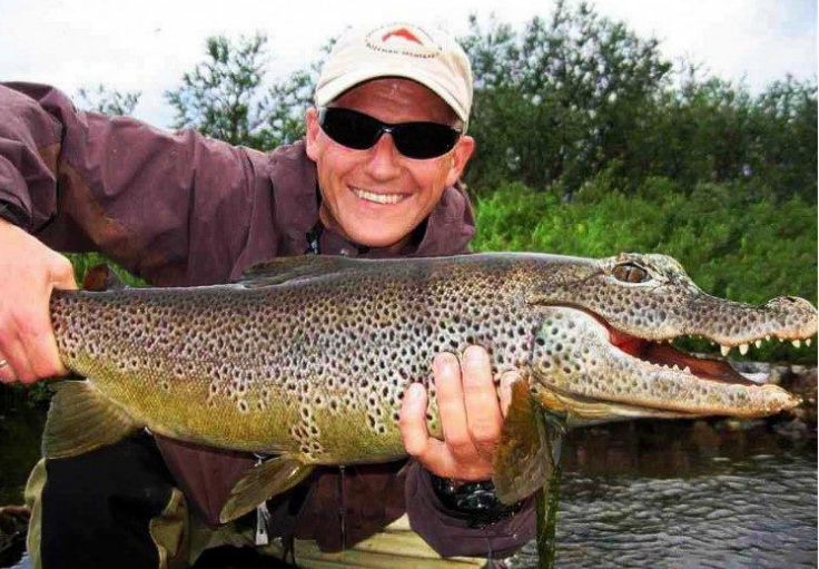 RARE FISH: landed the fist crocodile trout
