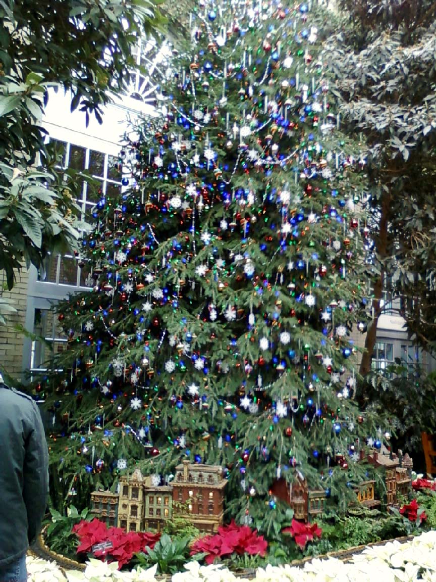 Picture of Elegance Blog Season’s Greenings in D.C.