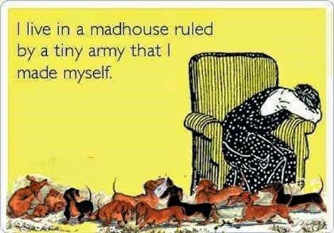 Said by many people in rescue. Said by many people in rescue.