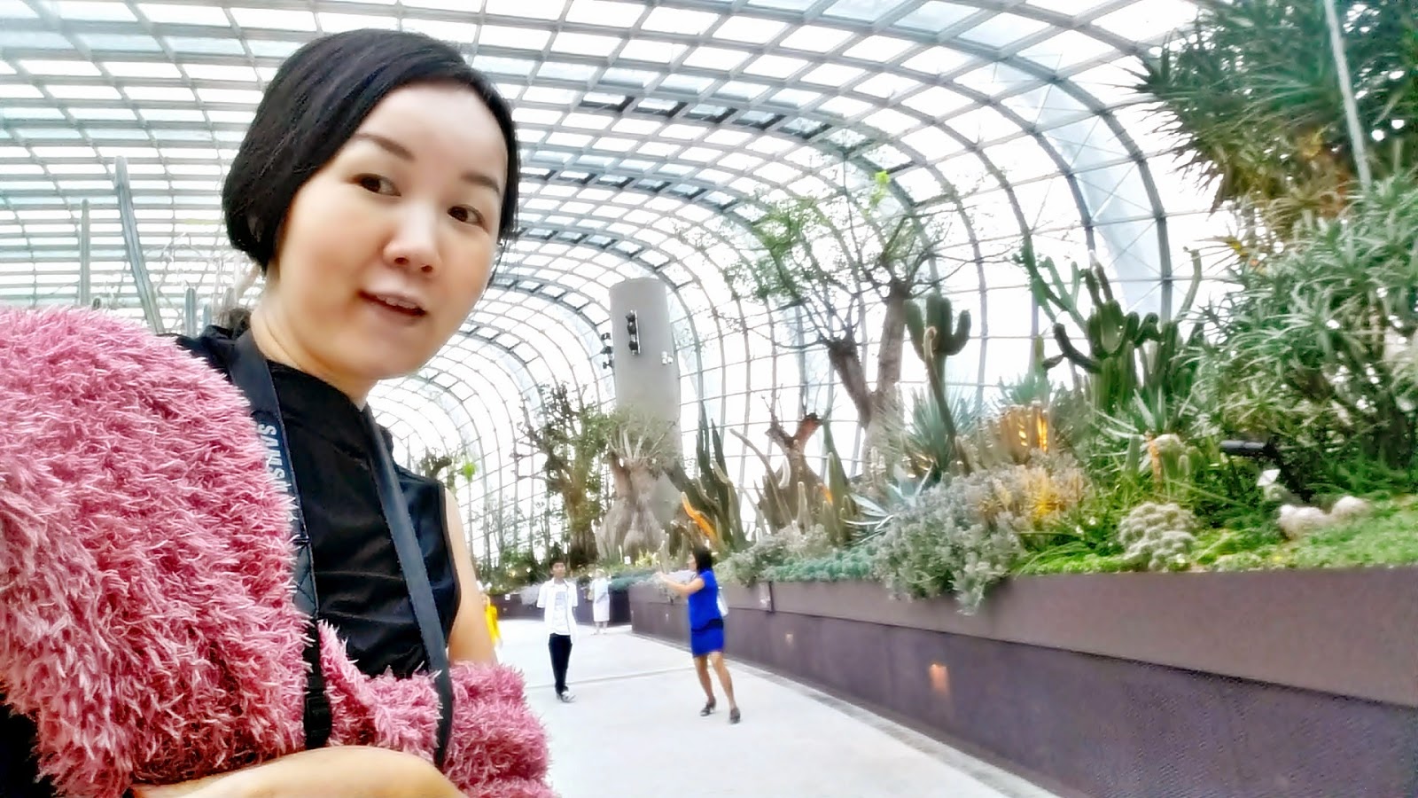 South African garden in Flower Dome meheartseoul.blogspot.sg (Vera Lee)