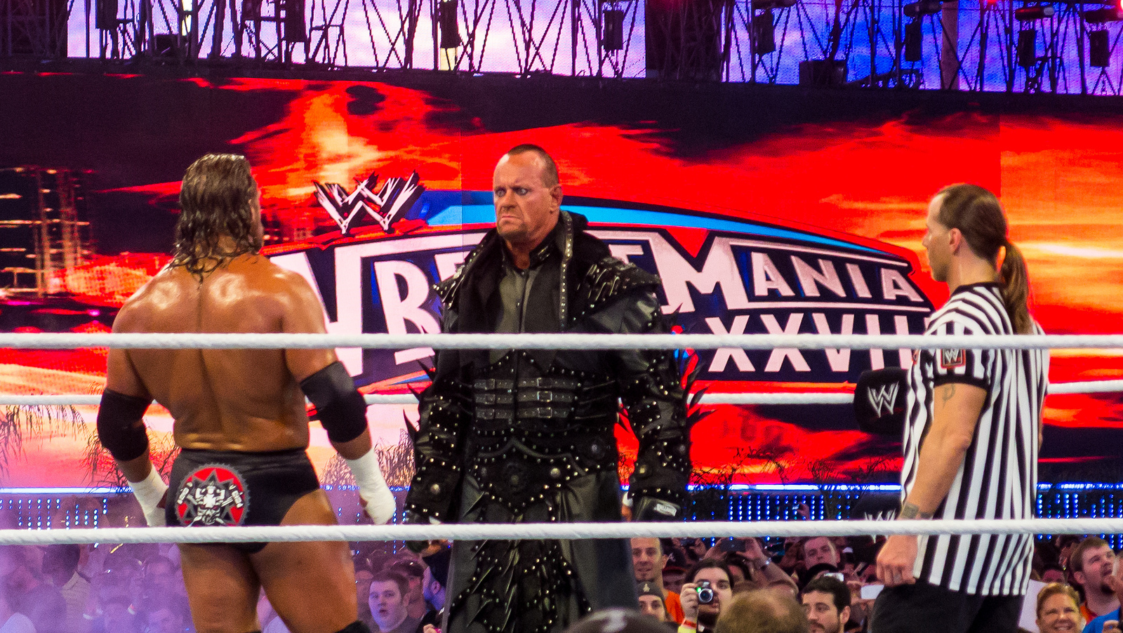 Undertaker Return 2013 Rumors