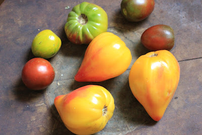 a variety of heirloom tomatoes