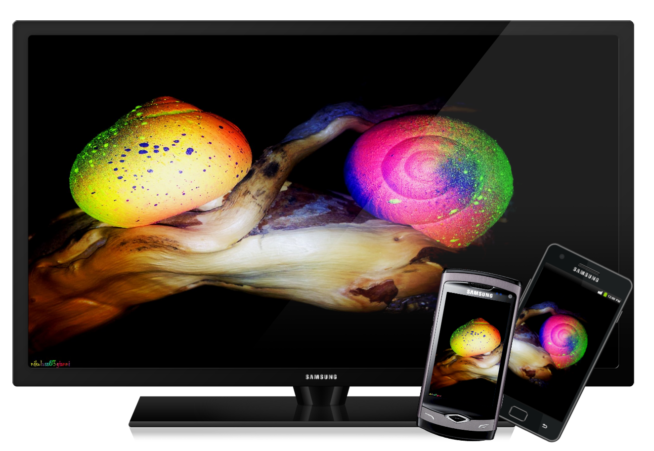 http://4.bp.blogspot.com/-VyFMoZ926iA/UDLq6XAR21I/AAAAAAAAAQg/g7xuH6nLRnY/s1600/Two+Psy+Snails+HD+wallpapers+presentation+2+by+nikolass+.png