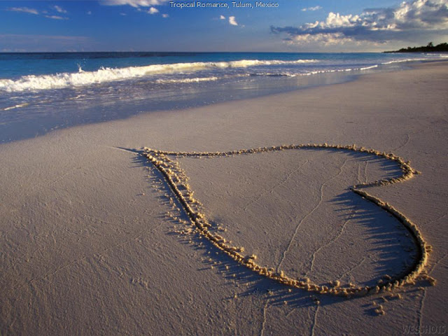 http://4.bp.blogspot.com/-VyUJ6IorgjU/TdbrgfpSybI/AAAAAAAAAi0/H3wO0aBuCY0/s1600/Love%2Bis%2Bthe%2BEssence%2Bof%2BLife%2B05.jpg