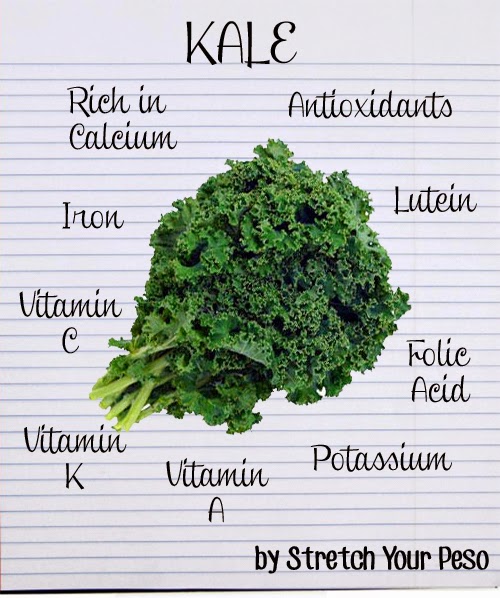 What is Kale? Superfood Vegetable Stretch Your Peso
