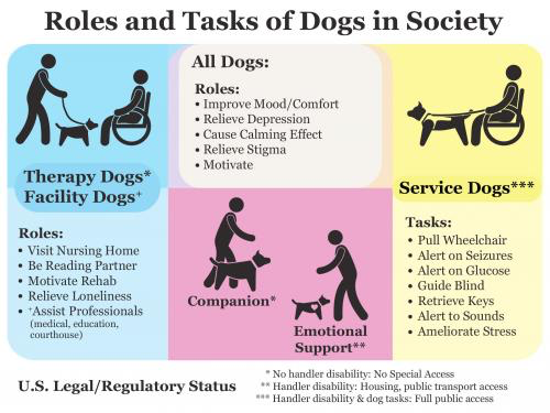 How To Make Your Dog A Service Dog In Canada How To Make Your Dog A Service Dog In Canada