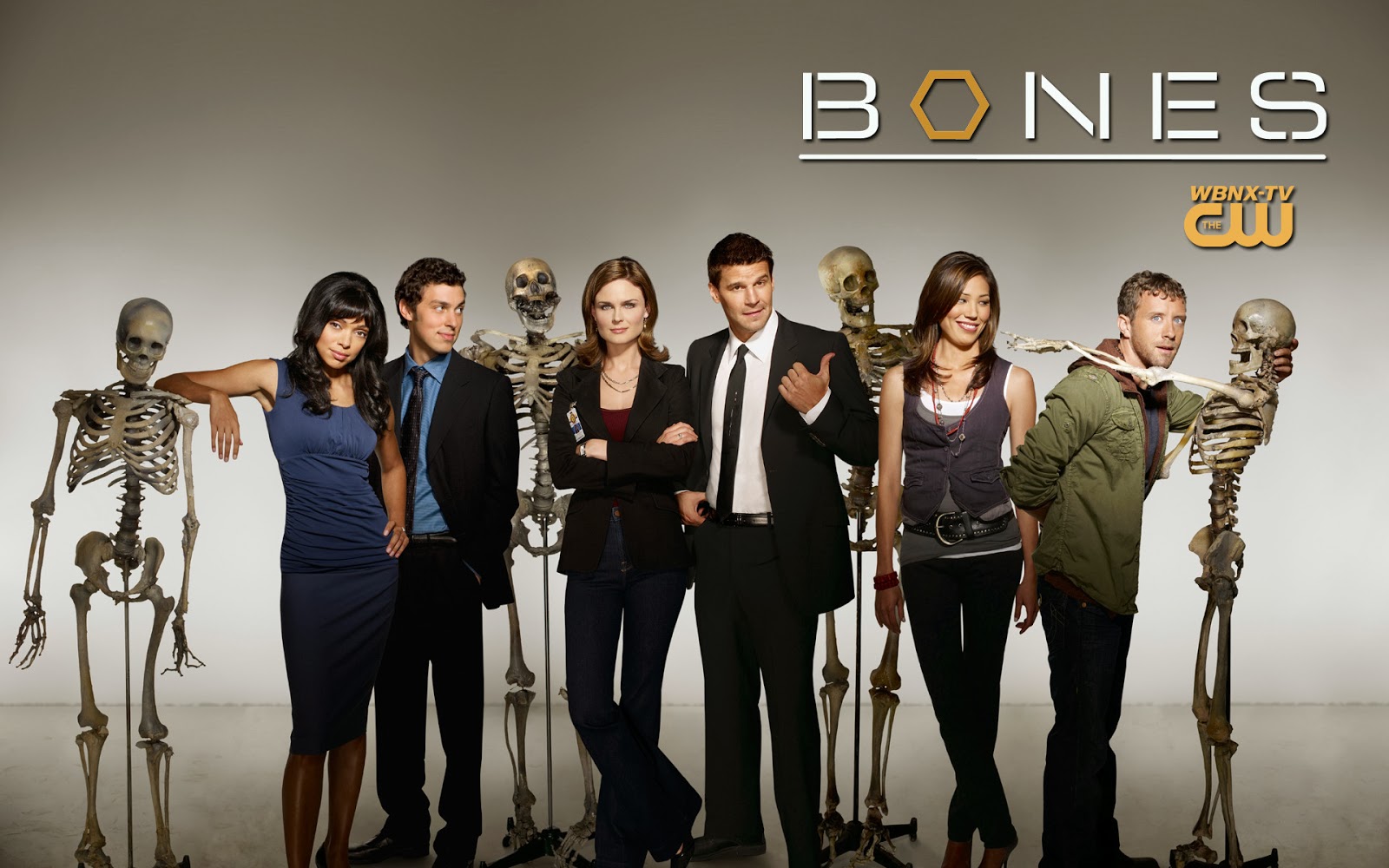 Wallpapers de séries WALLPAPERS BONES, PAPEIS DE PAREDE BONES, IMAGENS