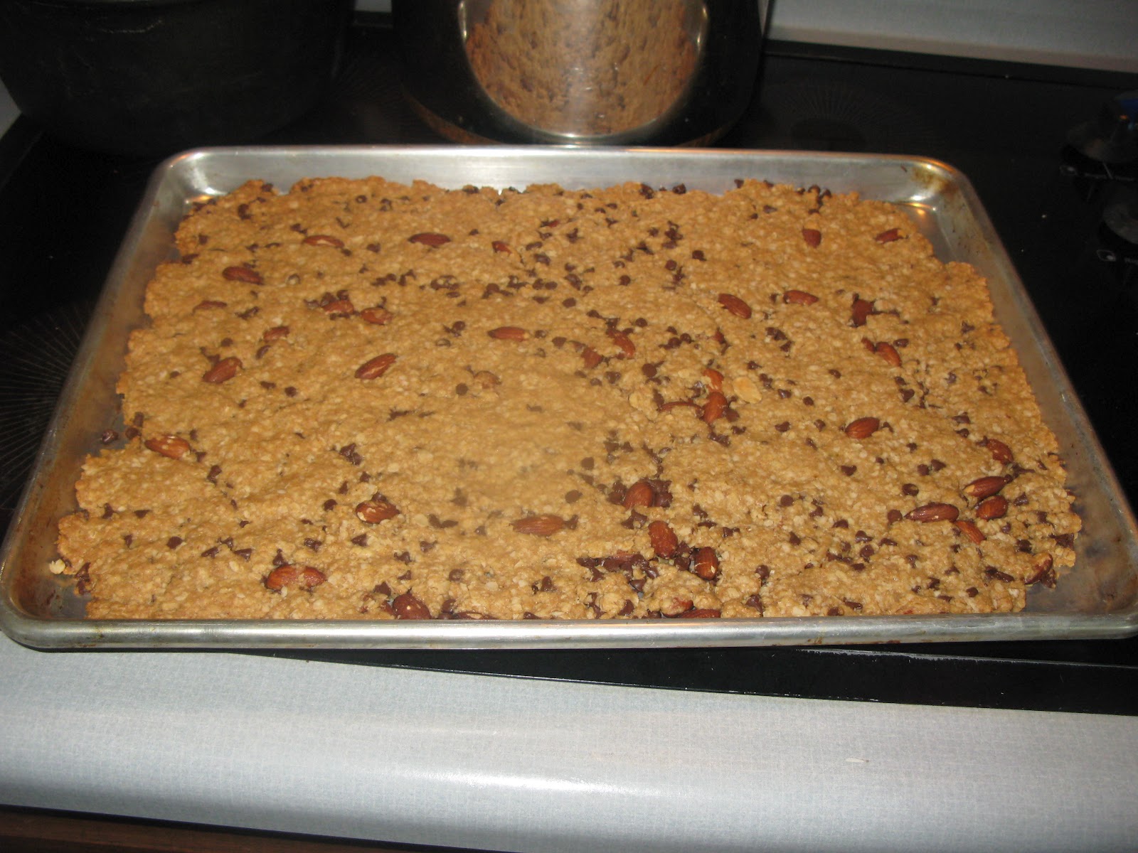 The Kerrie Show Healthy Granola Bar with Wheat Germ Recipe KidFood 