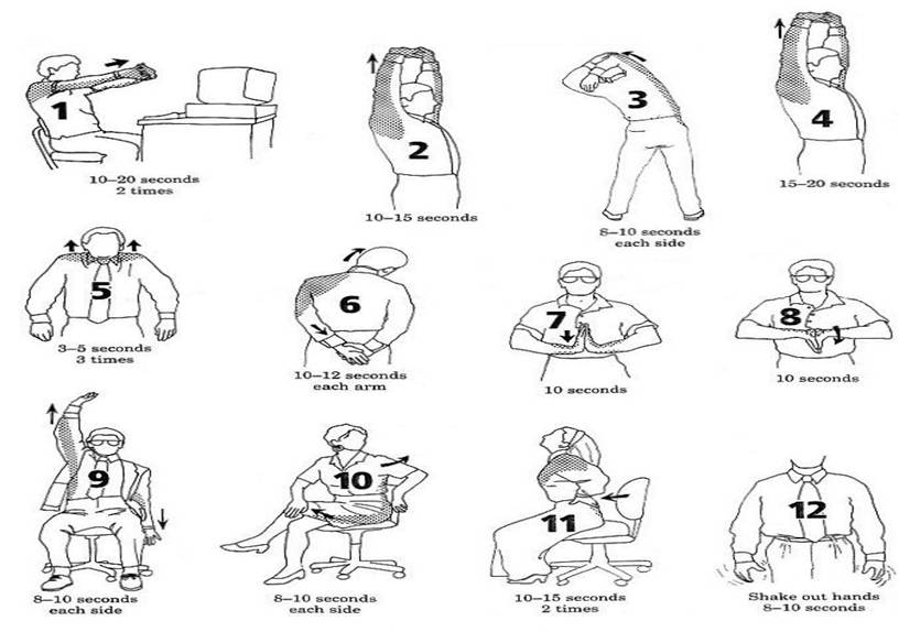 office stretching exercise | techies park office stretching exercise | techies park