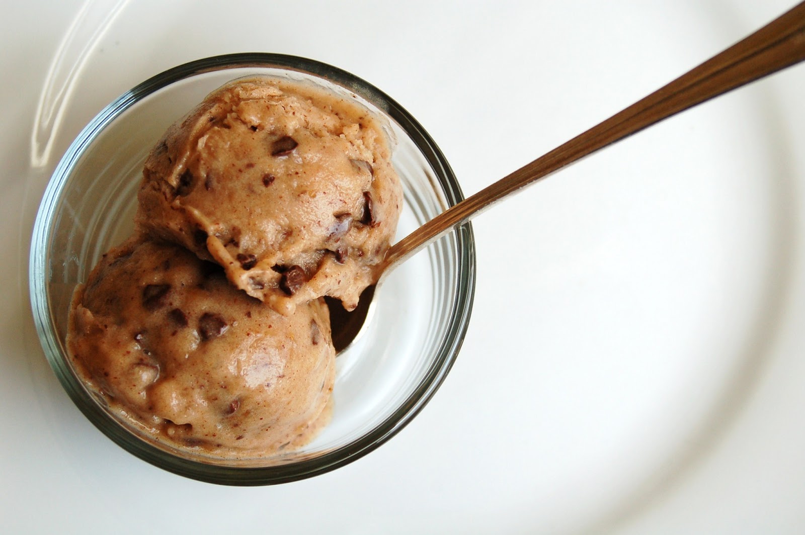 For the Love of Leaves Cinnamon Chocolate Chip Ice Cream (Vegan