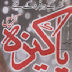 Pakeezah Digest April 2014
