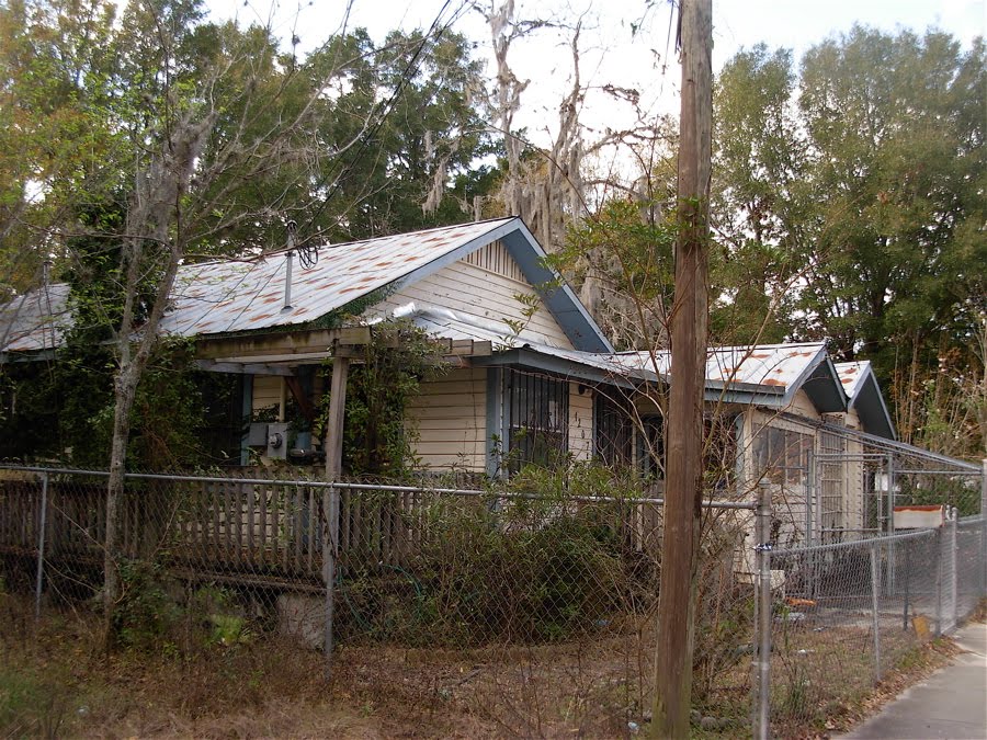 Hey, it's Dalis! Florida part Deux