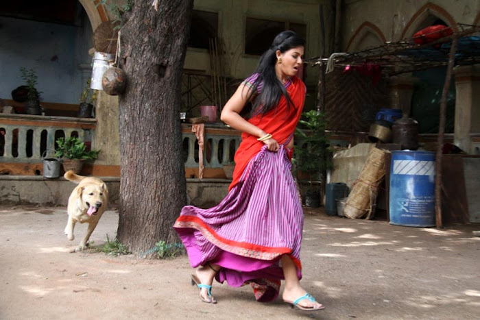 anjali in harf saree cute stills