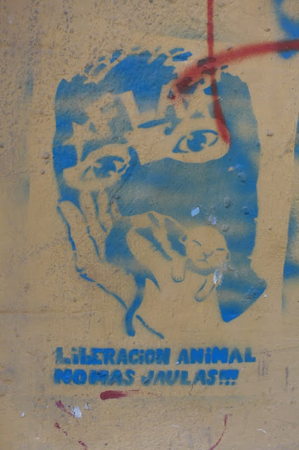 street art in santiago de chile barrio brasil arte callejero 