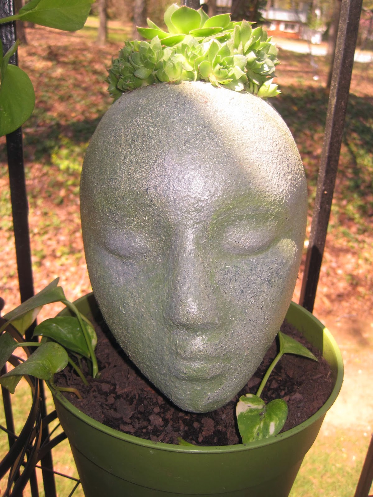 Vetsy�s View Styrofoam head planter &quot; Ebony&quot;