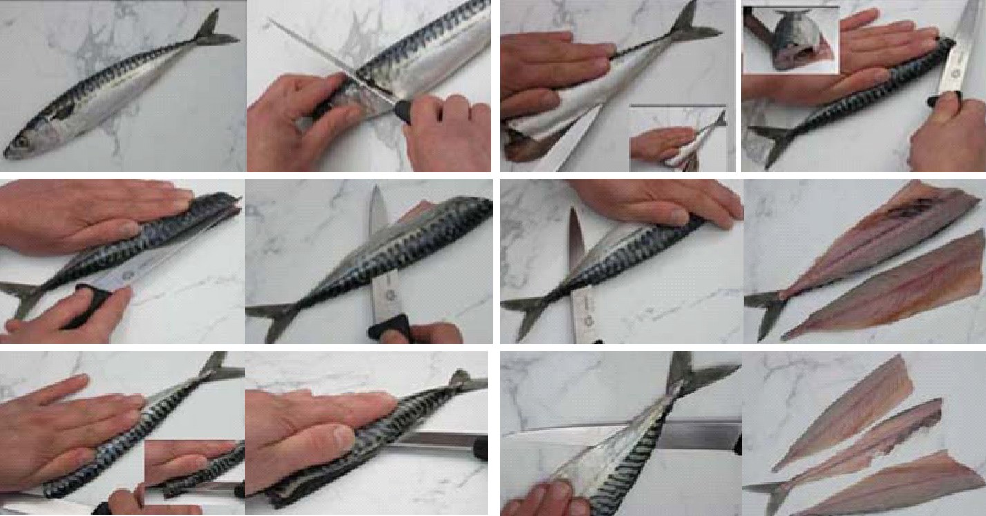 fillet fish tehnik profesional membuat filet dari fillet fish tehnik profesional membuat filet dari
