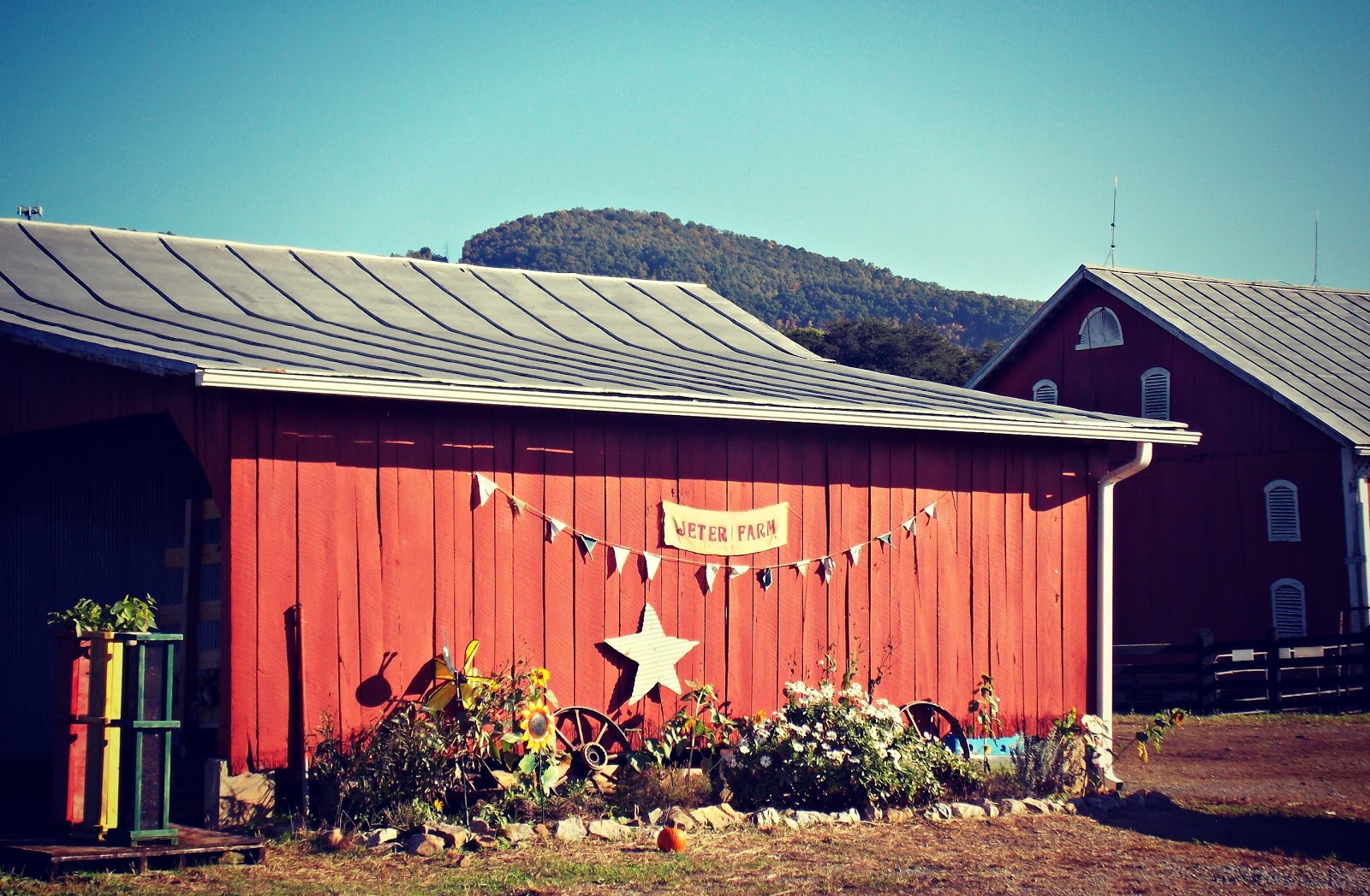 Around Roanoke, VA (A Daily Photo Blog) Farm Shots Continued