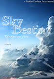 Sky Destiny Novel