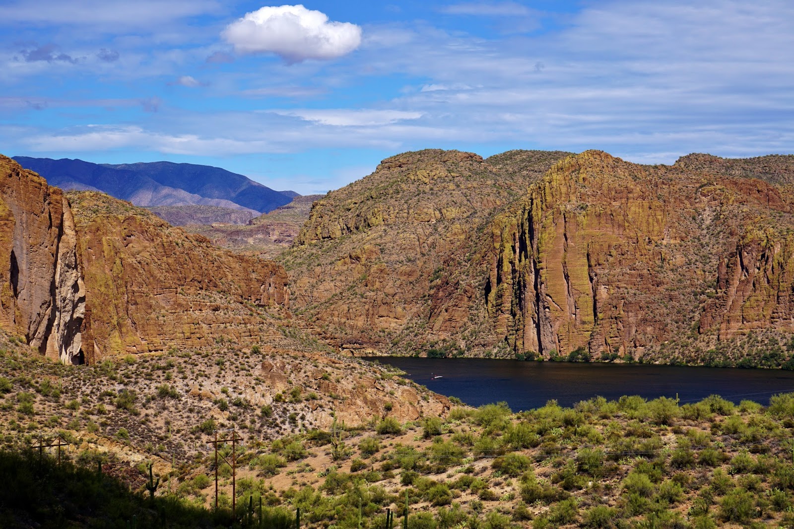 Freed Up Girl Apache Junction Trail