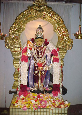 gnana pazham
