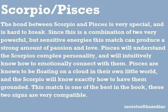 40 Quotes About SCORPIOPISCES Relationships Scorpio Quotes Delectable Scorpio Break Up Quote 40 Quotes About SCORPIOPISCES Relationships Scorpio Quotes Delectable Scorpio Break Up Quote