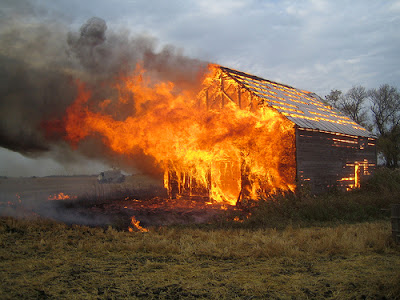 Type My Essay Online