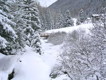 Emozioni Libere Il Paesaggio Innevato