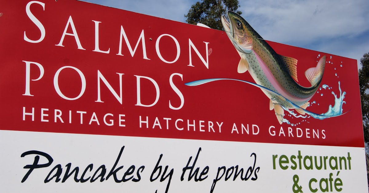 On The Convict Trail The Salmon Ponds