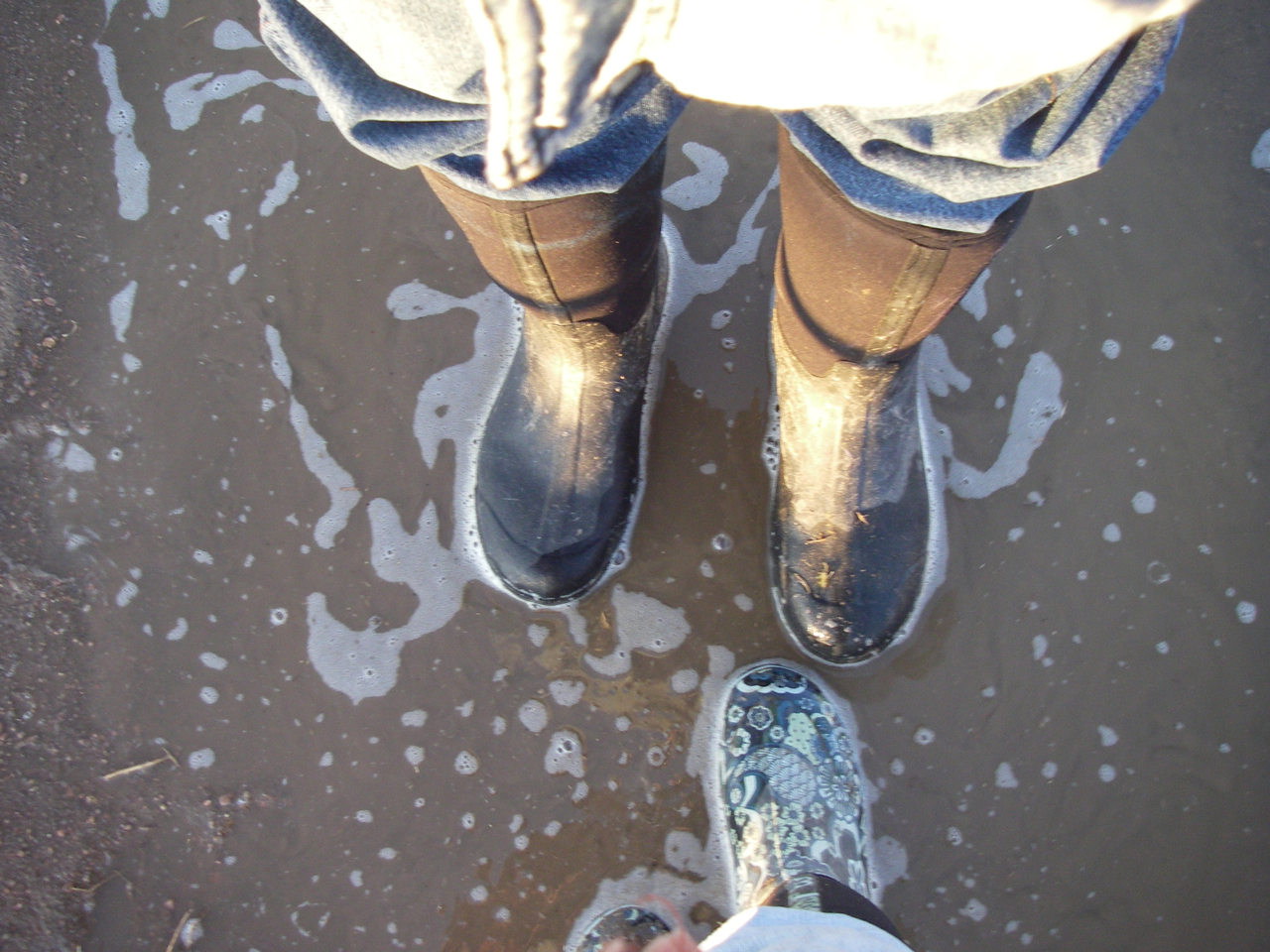 Primary 2 February 2012