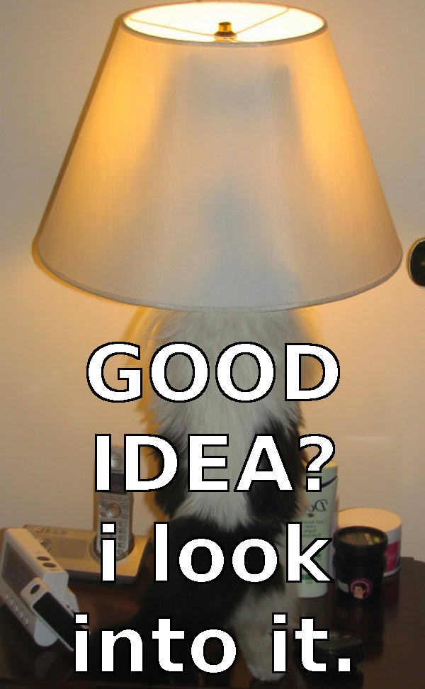 idea cat lamp lamp idea cat