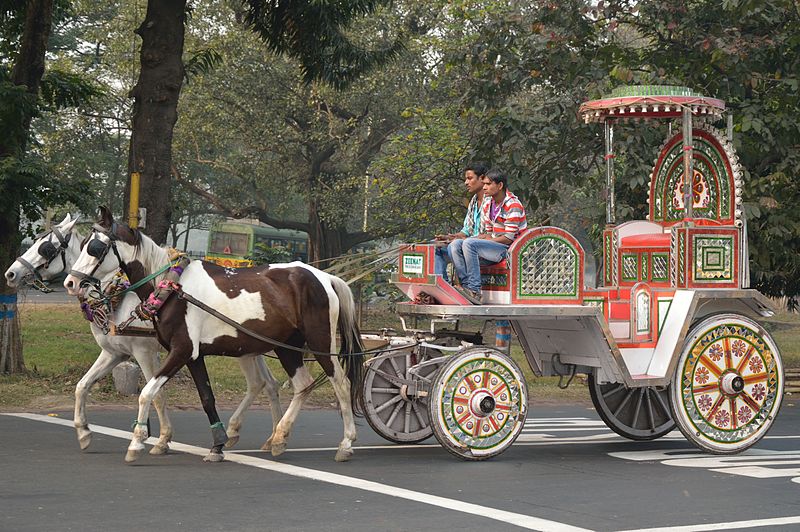 Ramblings of a 70year old Moody on climate change promote bullock