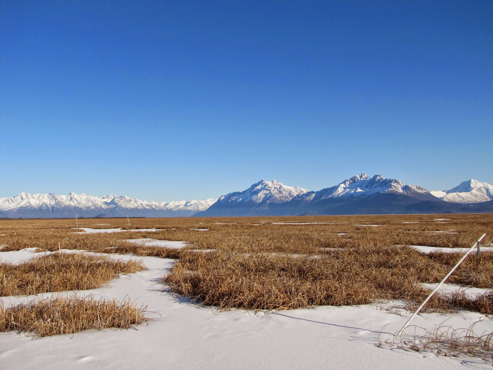 AKStafford Scout Ridge & The Palmer Hay Flats at Cottonwood Creek