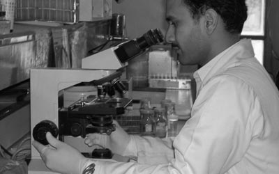 lab reports aku lab reports aku
