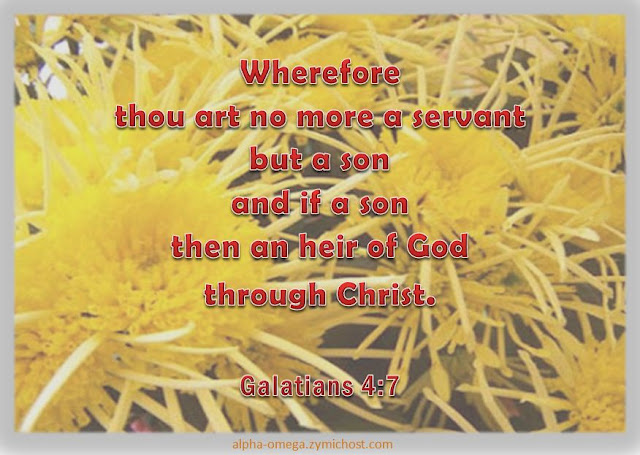 Wherefore thou art no more a servant, but a son; and if a son, then an heir of God through Christ.
