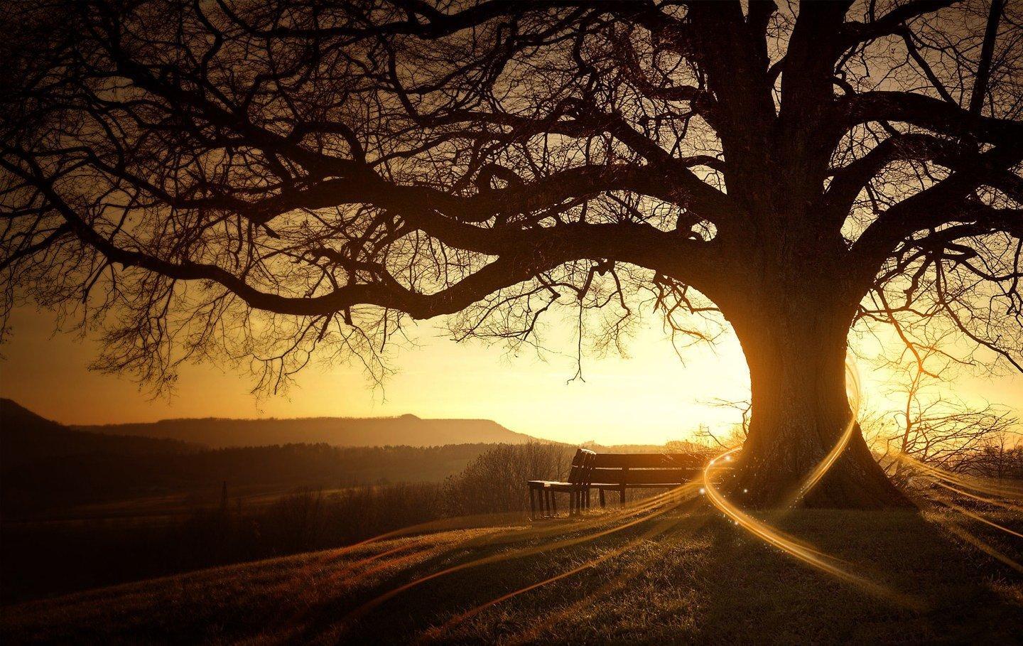 http://4.bp.blogspot.com/-W4h5LJdZIC8/TgYd8jdV7XI/AAAAAAAAAgQ/jOzpOODoRGY/s1600/scenery00%2B%252827%2529.jpg