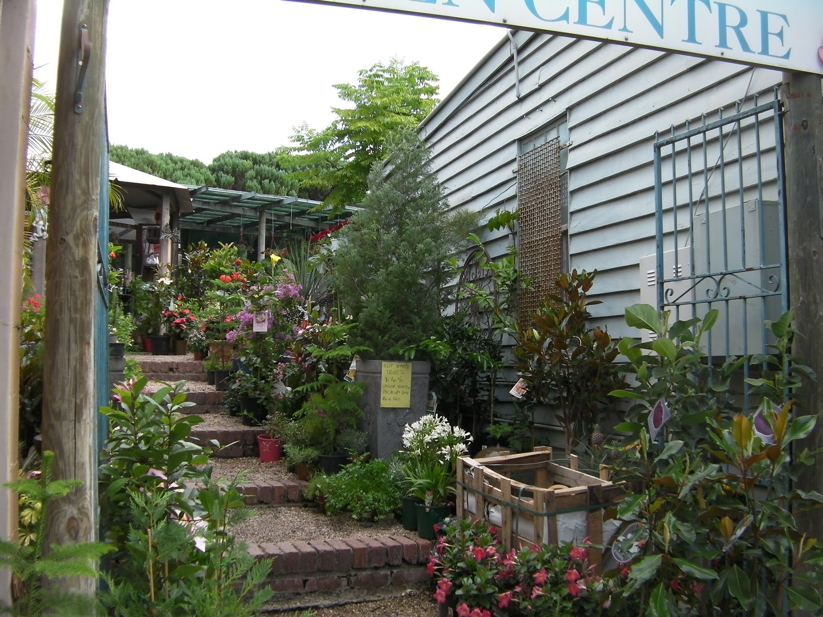 store wrapped Rosalie Village Garden Centre