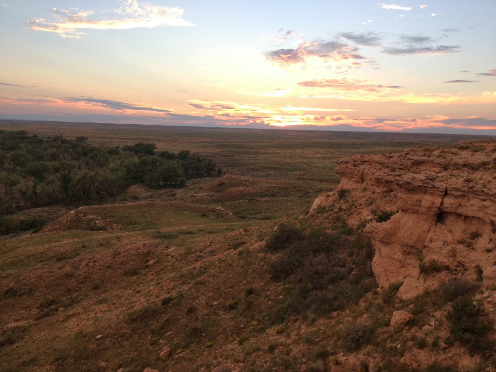 State Birding Cimarron National Grasslands, Kansas, September 2013