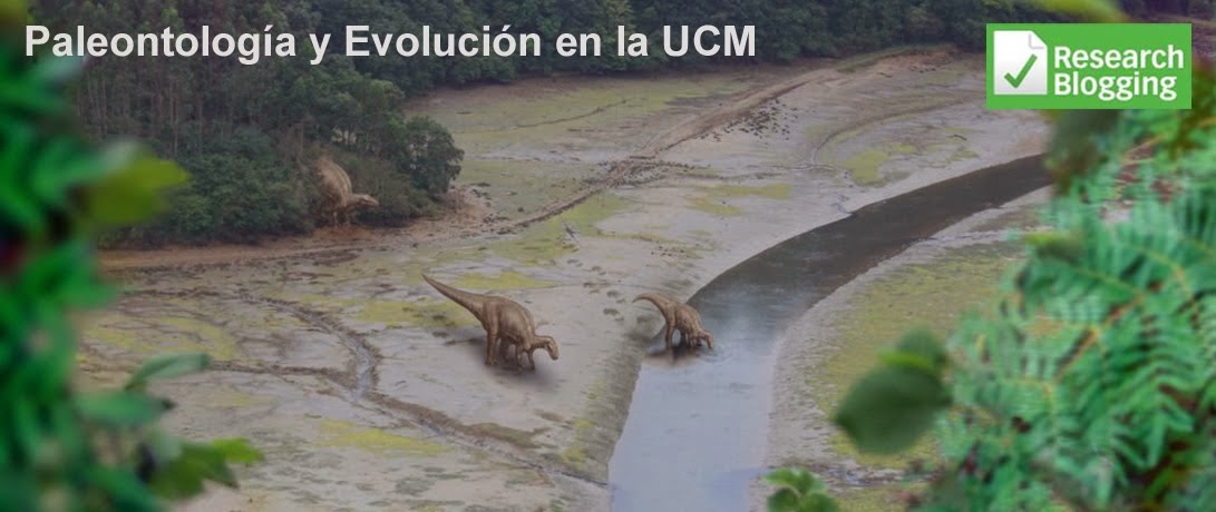Paleontología y Evolución en la UCM