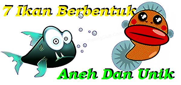 Ikan Aneh Dan Unik Ikan Aneh Dan Unik