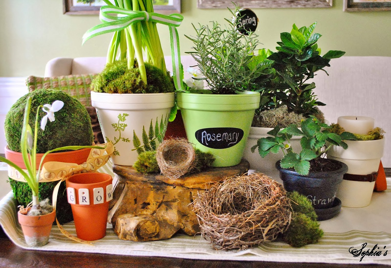 Sophia's DIY Spring Clay Pots & Michaels Pinterest Party