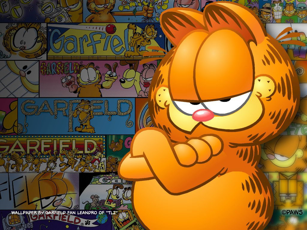 Garfield | Information Travel