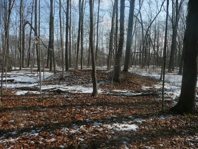 Maumee+Indians burial mound is located on a high bluff overlooking the Maumee River ...
