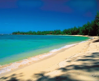 Big Island Hawaii Island of Hawaii Waterfront Condos For Sale