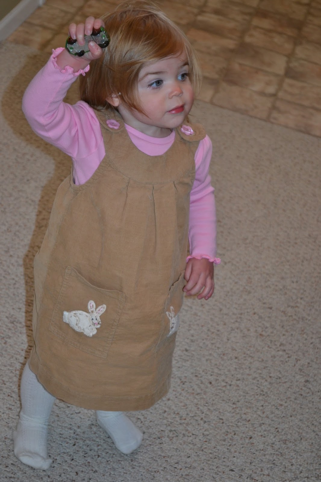 Little Quail Busy little Quail