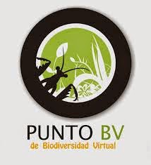 PUNTO BV "VALLE DE MORANA"