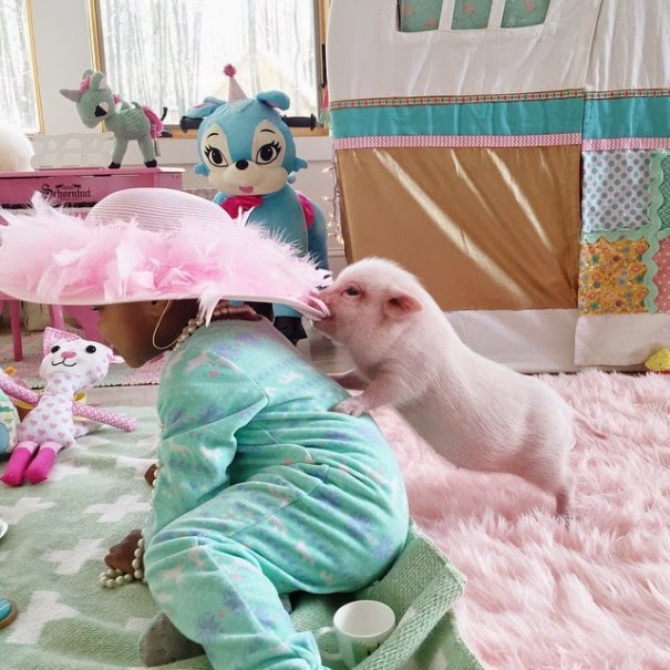 Lindsey writes, “God has blessed us so much through adoption and it is now my passion to share adoption love with others!” - The Heartmelting Friendship Of A 2-Year-Old Girl And Her Piglet Lindsey writes, “God has blessed us so much through adoption and it is now my passion to share adoption love with others!” - The Heartmelting Friendship Of A 2-Year-Old Girl And Her Piglet