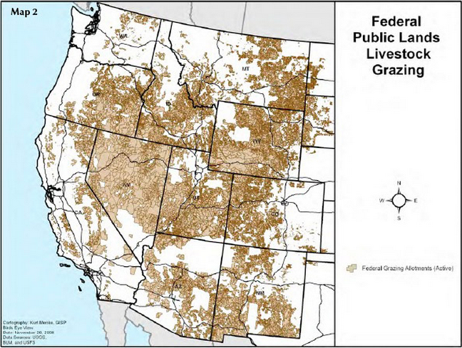 public grazing lands essay public grazing lands essay