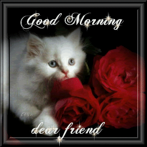 Entertainment World: Good Morning
